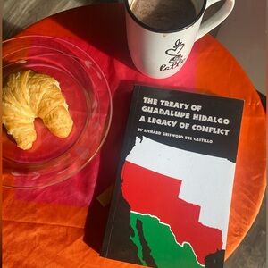 The Treaty of Guadalupe Hidalgo by Richard Griswold Del Castillo paperback